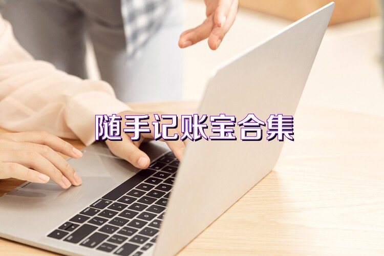 隨手記賬寶合集