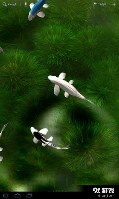 錦鯉3D動(dòng)態(tài)壁紙1
