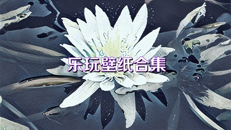 樂玩壁紙合集
