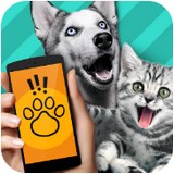動物語言交流器
