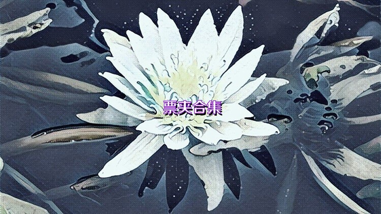 票夾合集