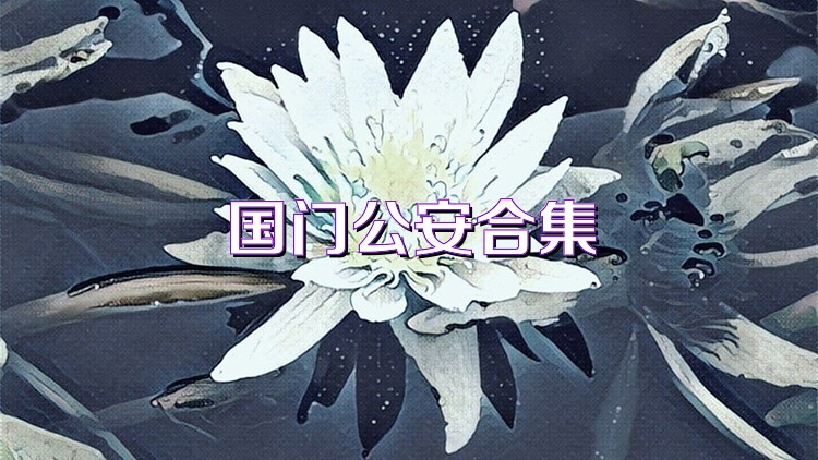 国门公安合集