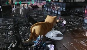 七日世界中月亮猫的获取方法