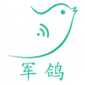 軍鴿