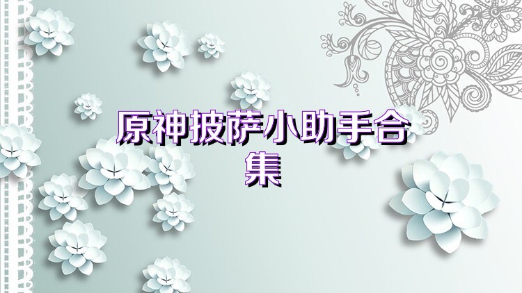 原神披萨小助手合集
