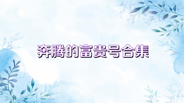 奔腾的富贵号合集