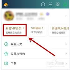 华为爱奇艺如何取消自动续费