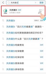 天府通办如何开具无犯罪证明