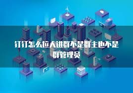 不是群主的钉钉能不能拉人