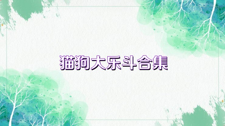 猫狗大乐斗合集
