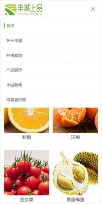 豐誠上品2