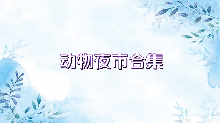 动物夜市合集