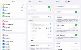 苹果手机WiFi网速慢怎么办