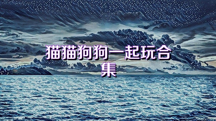猫猫狗狗一起玩合集