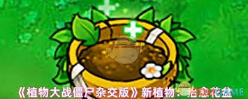 植物大战僵尸杂交版治愈花盆如何