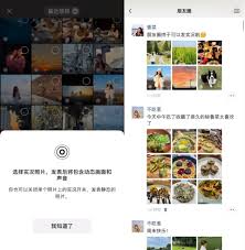 安卓怎么查看微信朋友圈实况图