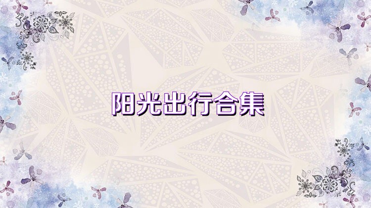 阳光出行合集