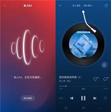 网易云音乐怎么关闭私人dj