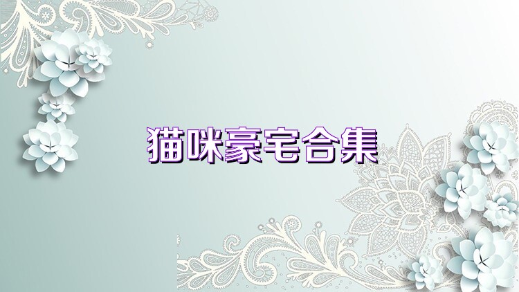 猫咪豪宅合集