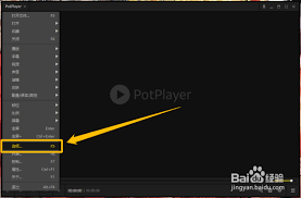 PotPlayer如何设置允许使用触摸功能
