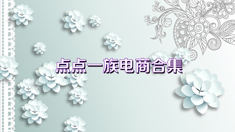 点点一族电商合集