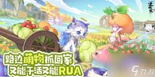 逆水寒手游育宠图鉴如何快速升级