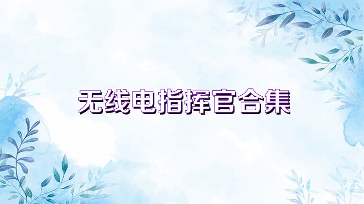 无线电指挥官合集