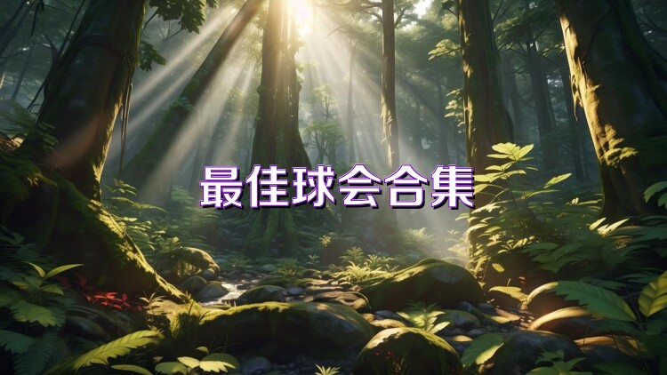 最佳球会合集