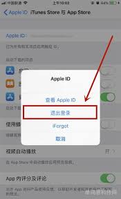苹果id注册格式是什么