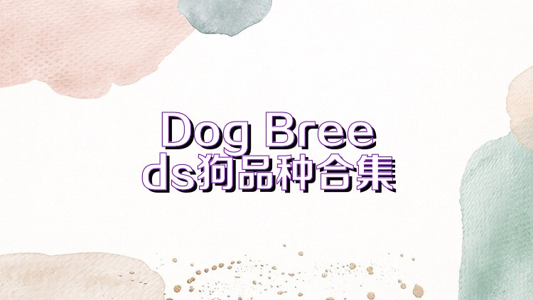 Dog Breeds狗品种合集