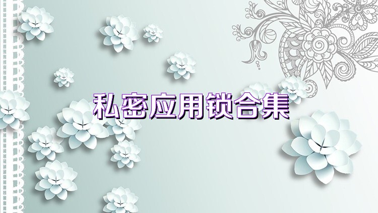私密应用锁合集
