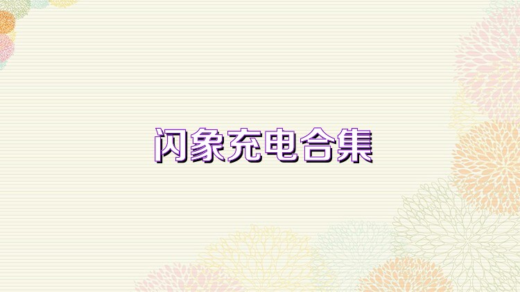 闪象充电合集