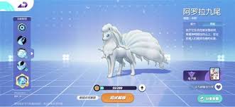 宝可梦大集结：阿罗拉九尾如何进化