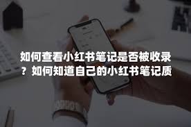 小红书笔记是否被收录
