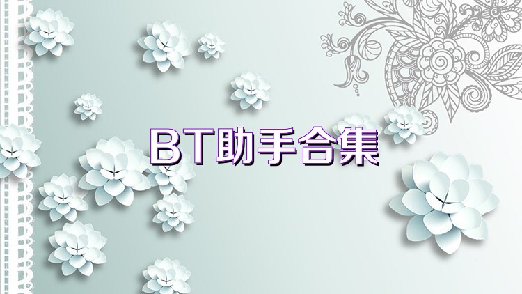 BT助手合集