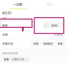 闲鱼库存设置指南