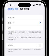 苹果手机5G设置在哪里