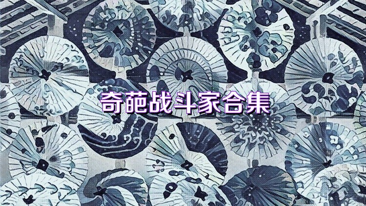 奇葩战斗家合集
