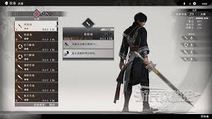 真三国无双：起源开荒用什么武器