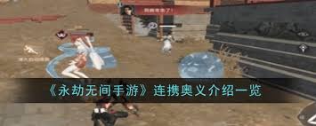 永劫无间手游有哪些连携奥义
