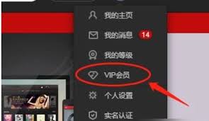 网易云vip如何关闭自动续费