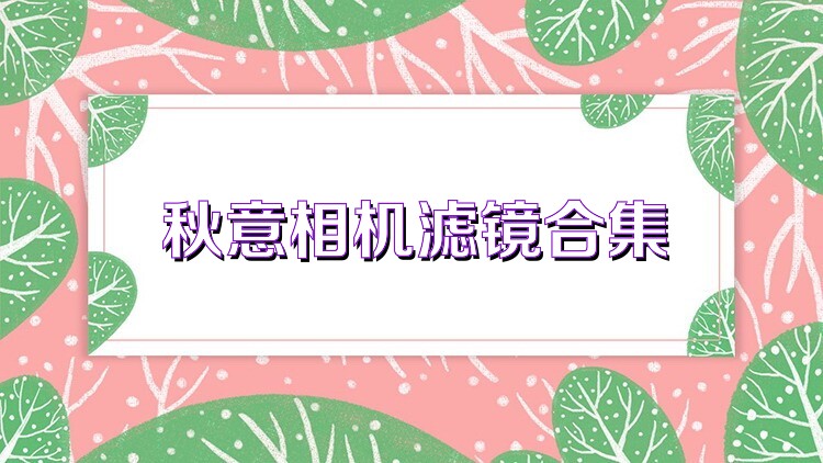 秋意相机滤镜合集
