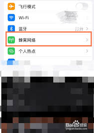 苹果手机如何在通知栏中查看流量使用情况