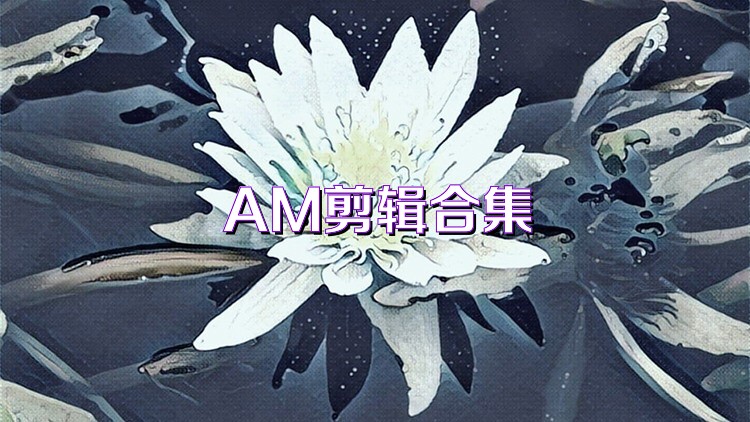 AM剪辑合集