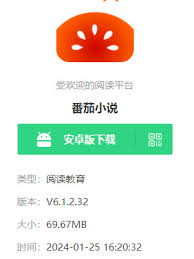番茄小说网页版免费阅读怎么进
