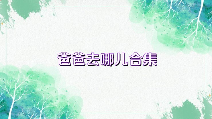 爸爸去哪儿合集