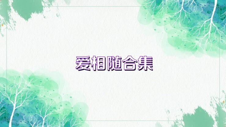 爱相随合集