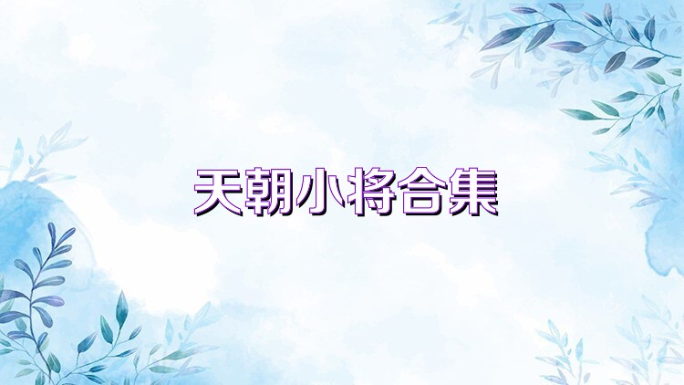 天朝小将合集