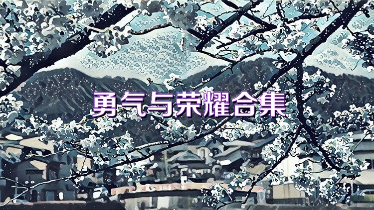 勇气与荣耀合集