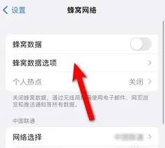 iphone14如何开启5G网络